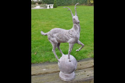Pair of Stag's