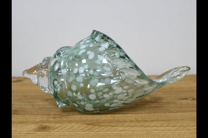 Glass Shell