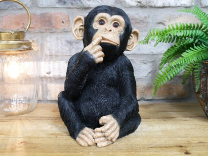 Finger In Mouth Monkey