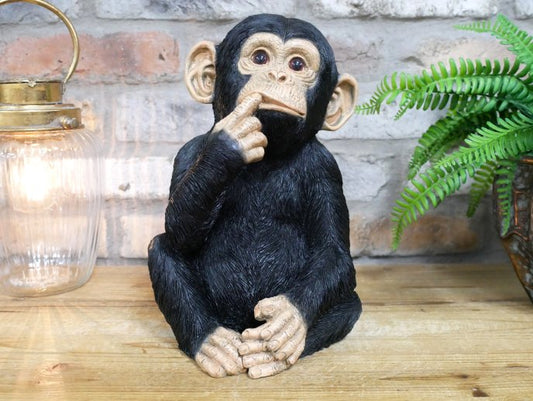 Finger In Mouth Monkey