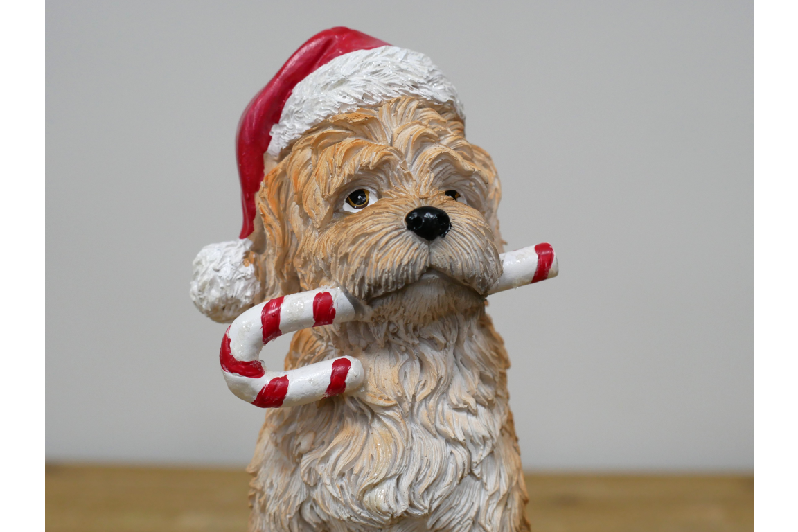 Christmas Dog With Candy Cane