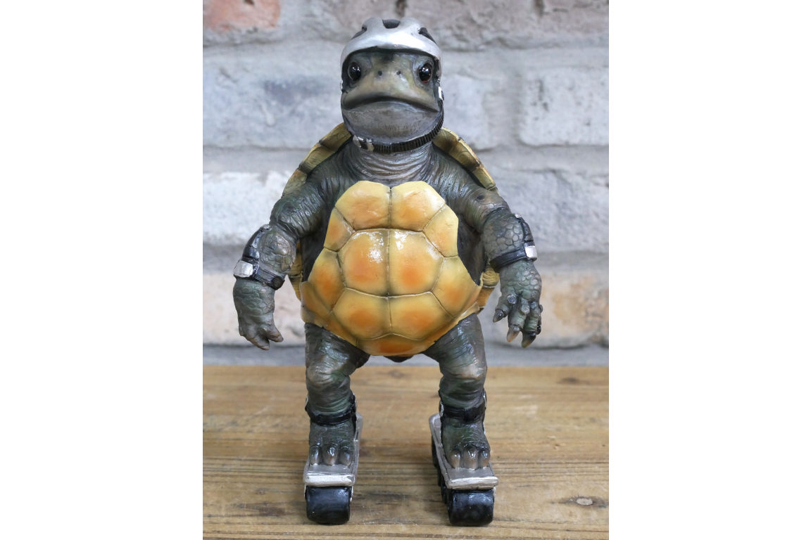 Speedy Tortoise