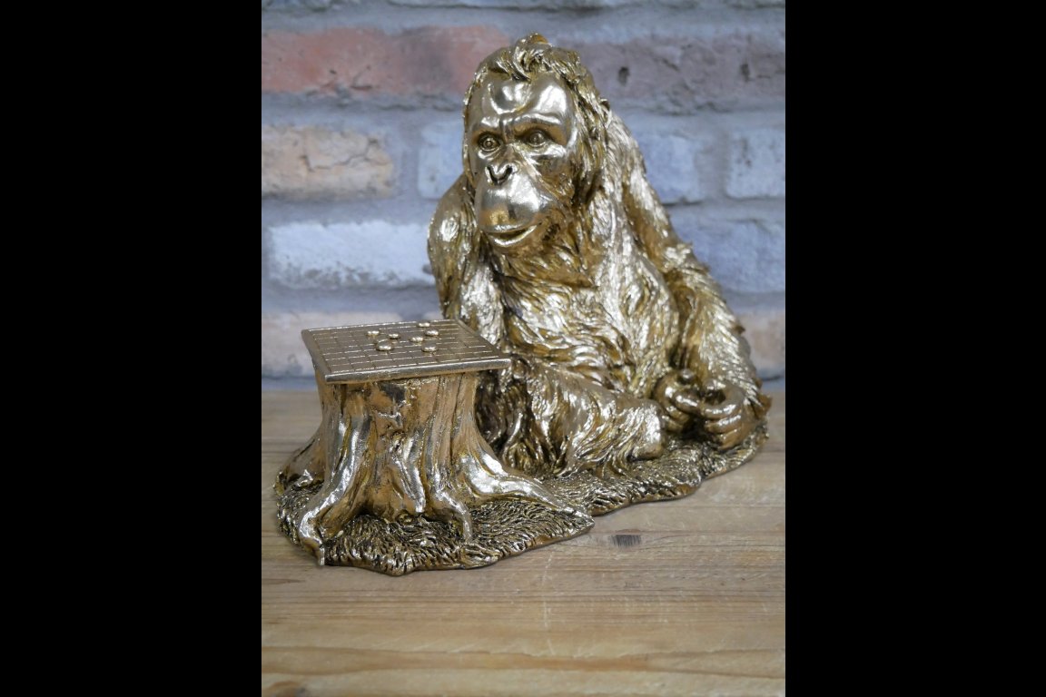 Orangutan Playing Draughts