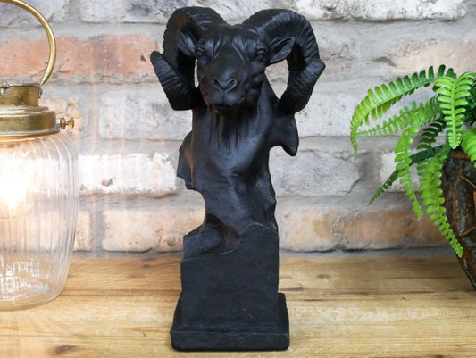 Ram Head