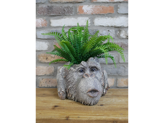 Monkey Head Planter