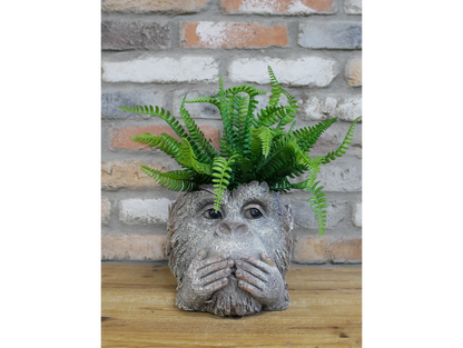 Monkey Head Planter