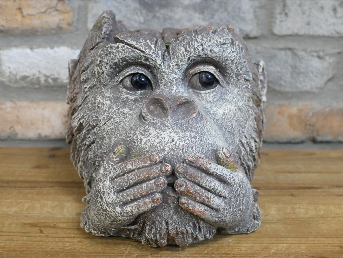 Monkey Head Planter