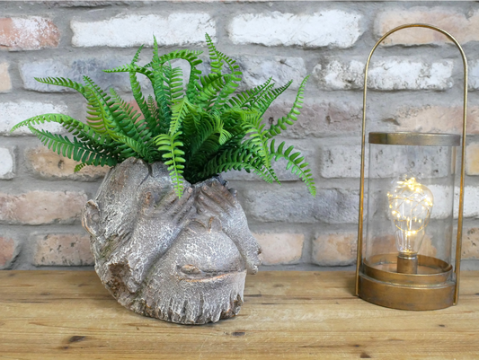 Monkey Head Planter