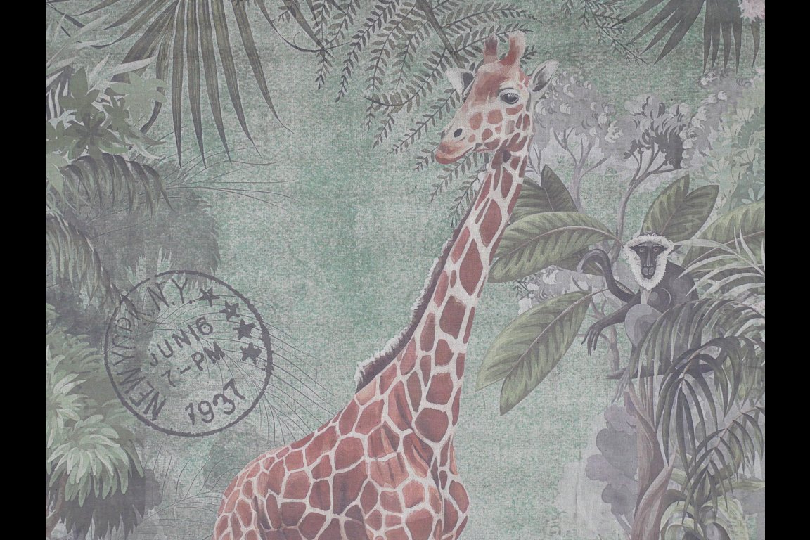 Wall Art - Giraffe