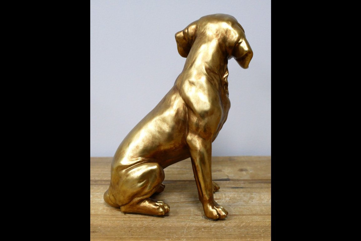 Golden Dog