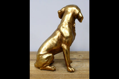 Golden Dog