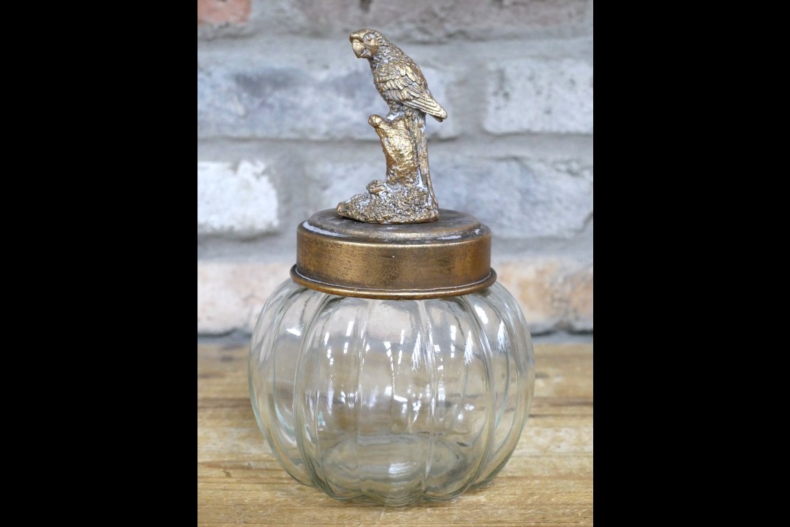 Bird Jar