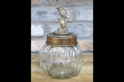 Bird Jar