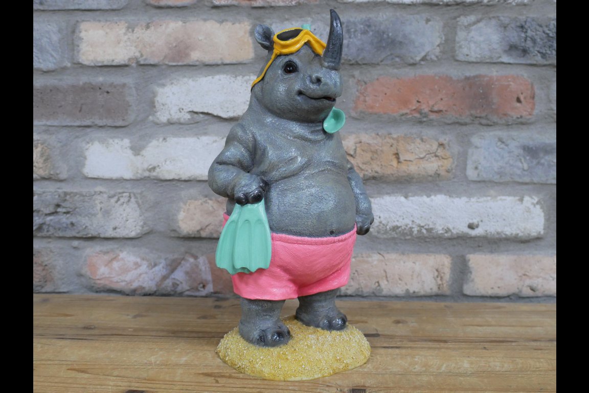 Rhino Snorkeling