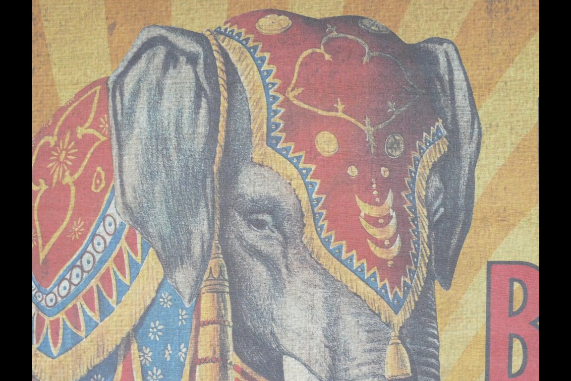 Canvas Wall Art - Elephant