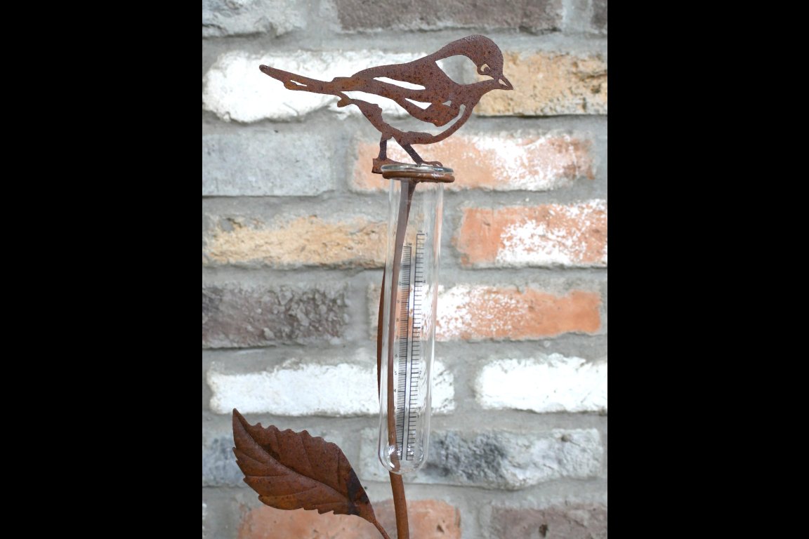 Rusty Bird Stake Rain Catcher