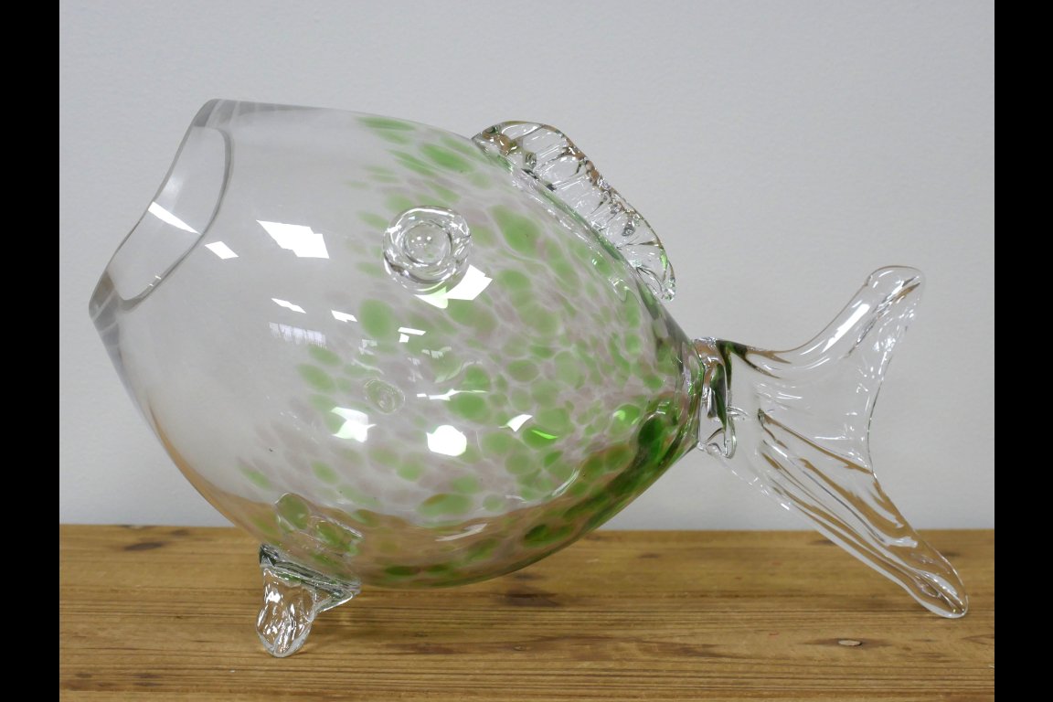 Big Mouth Glass Fish