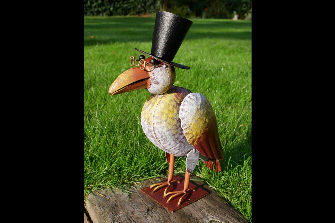 Bird In Top Hat