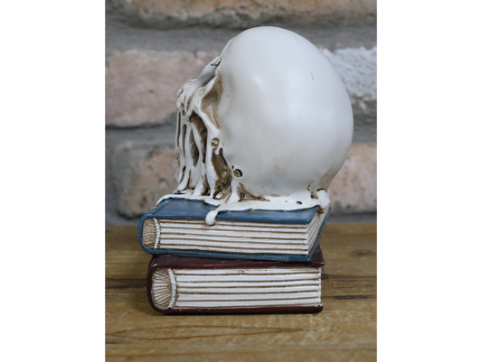 Skull Decoration