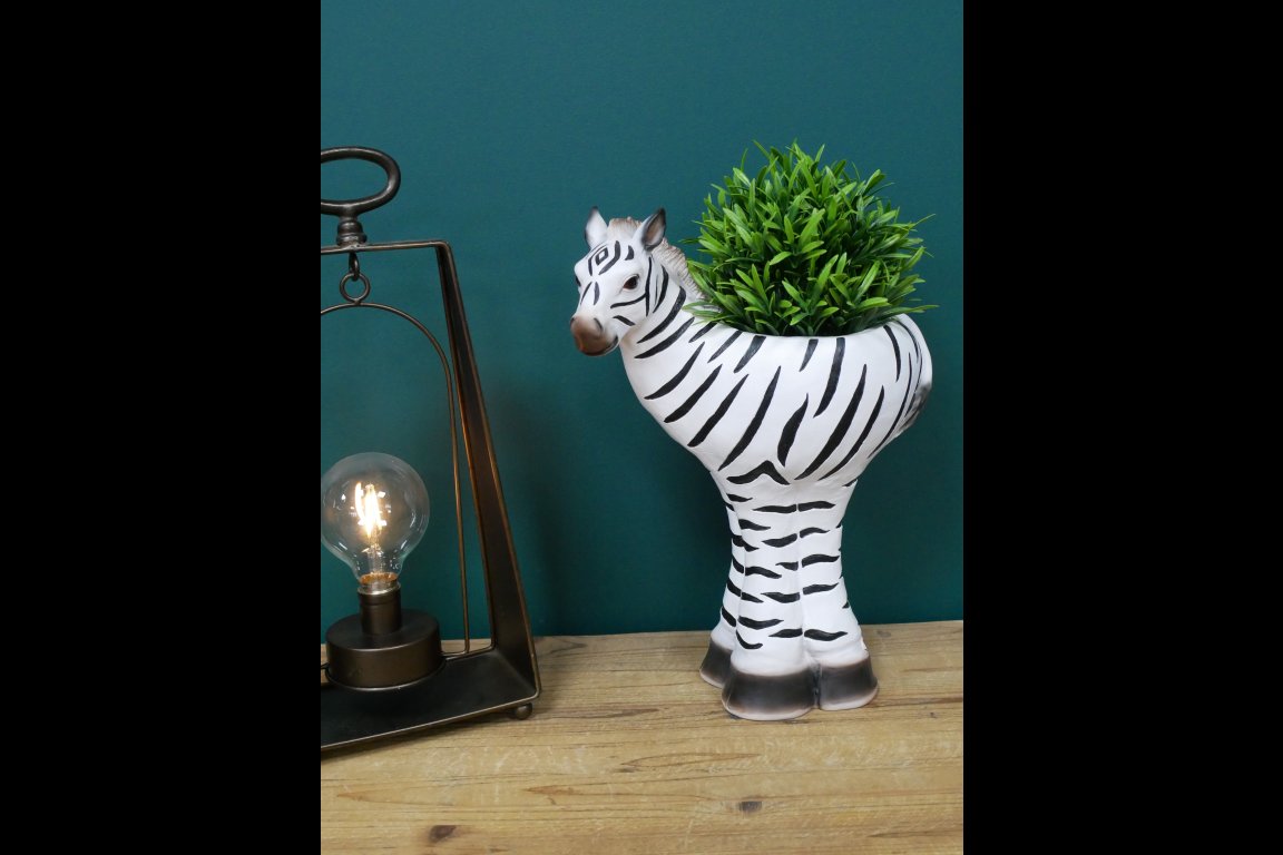 Zebra Planter