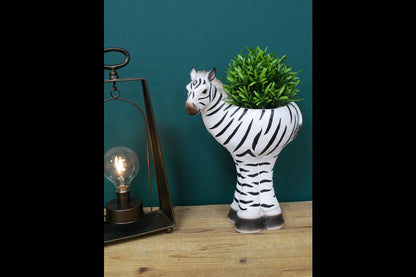 Zebra Planter