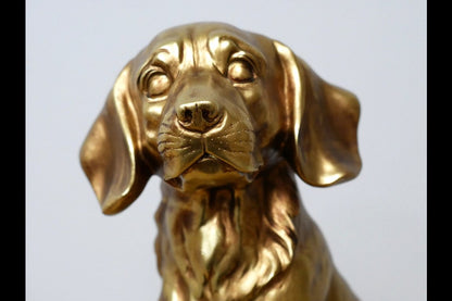 Golden Dog
