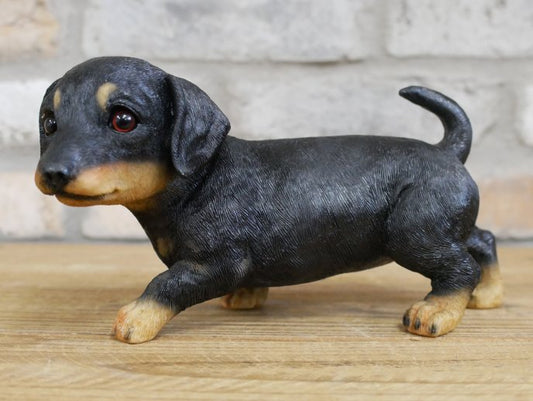 Small Dog