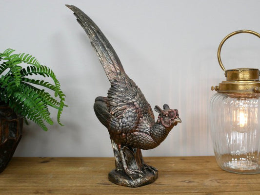 Pheasant
