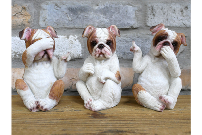 Who Done It Bulldogs (Set of 3)