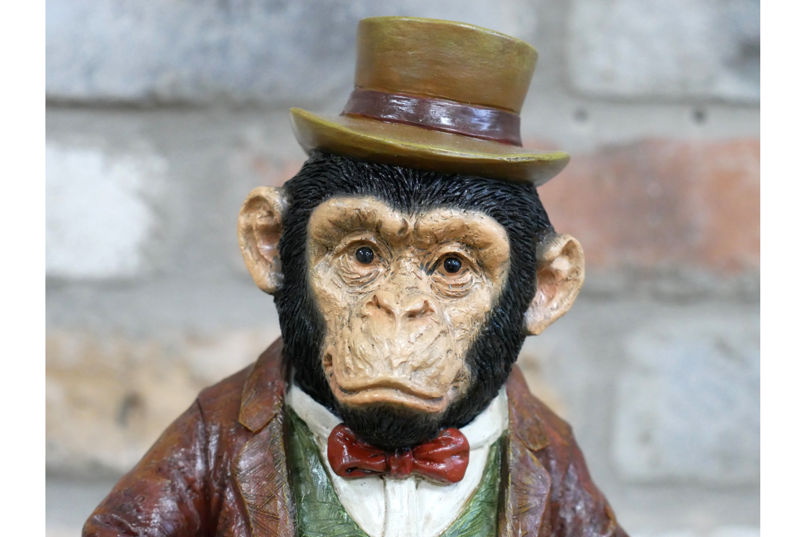 Monkey In Suit