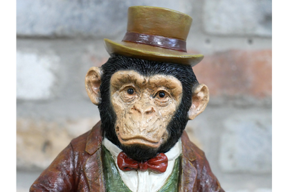Monkey In Suit