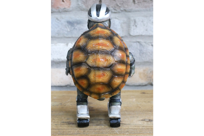 Speedy Tortoise