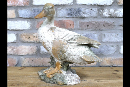 Duck - Small