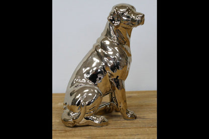 Golden Dog