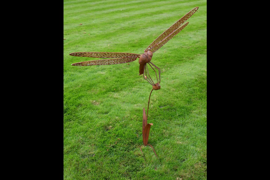 Rusty Dragonfly Stake