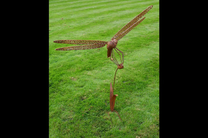 Rusty Dragonfly Stake