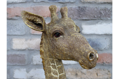 Giraffe Bust