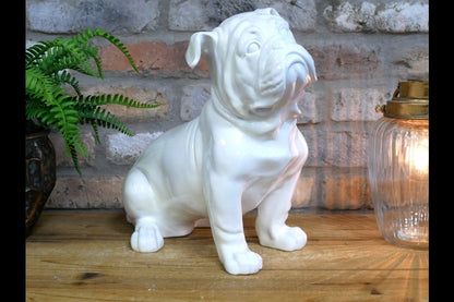 White Bulldog