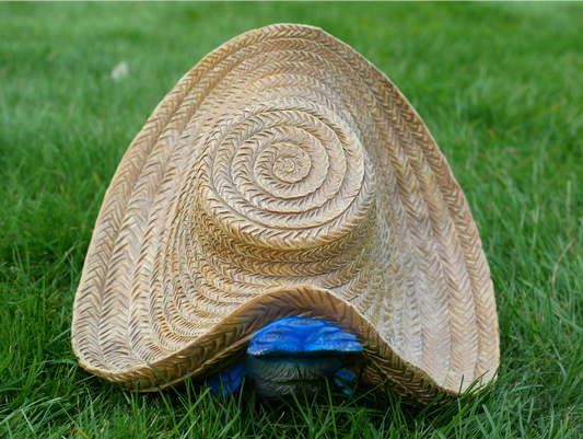 Bird With Big Hat