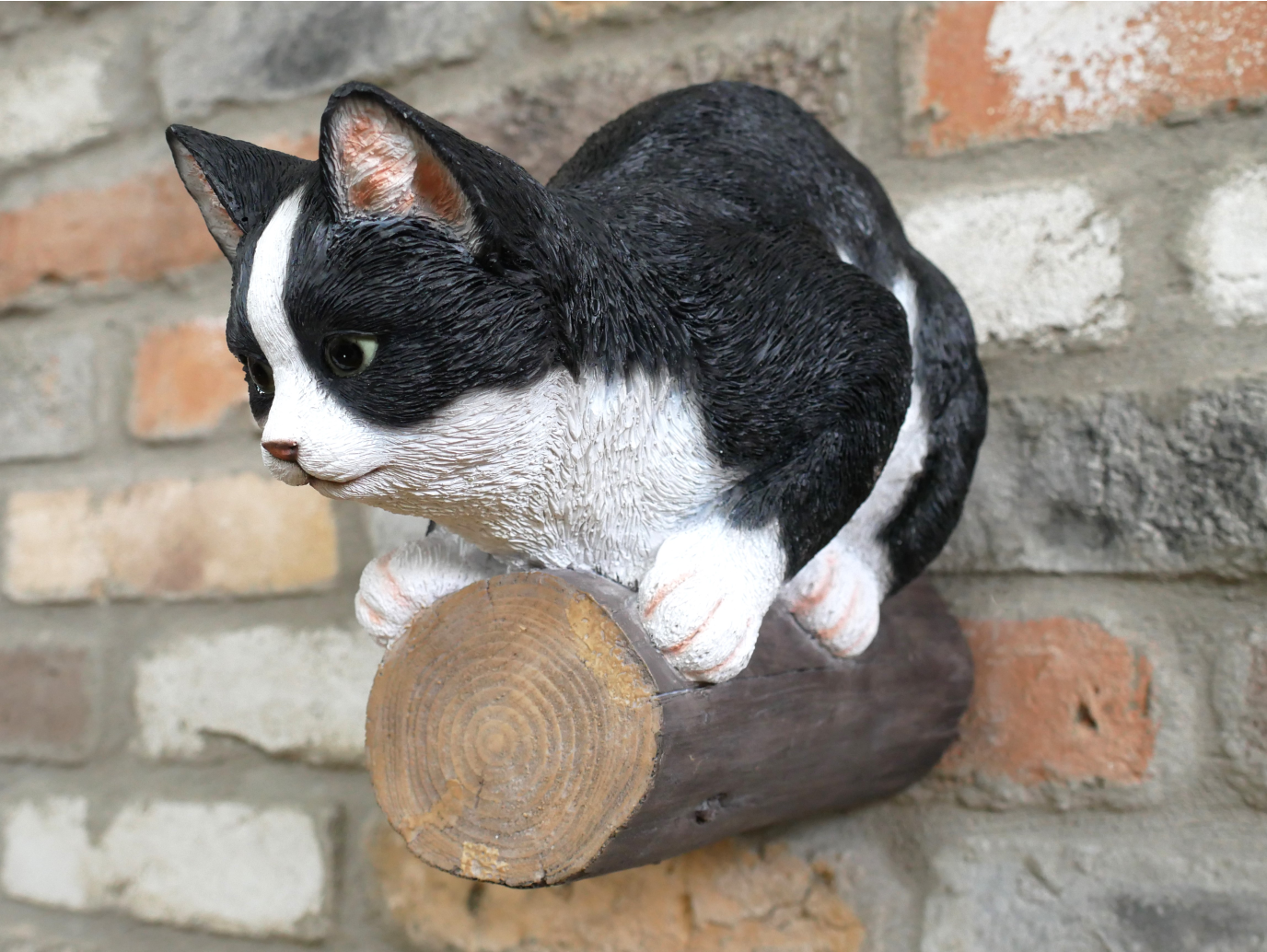 Cat On A Branch