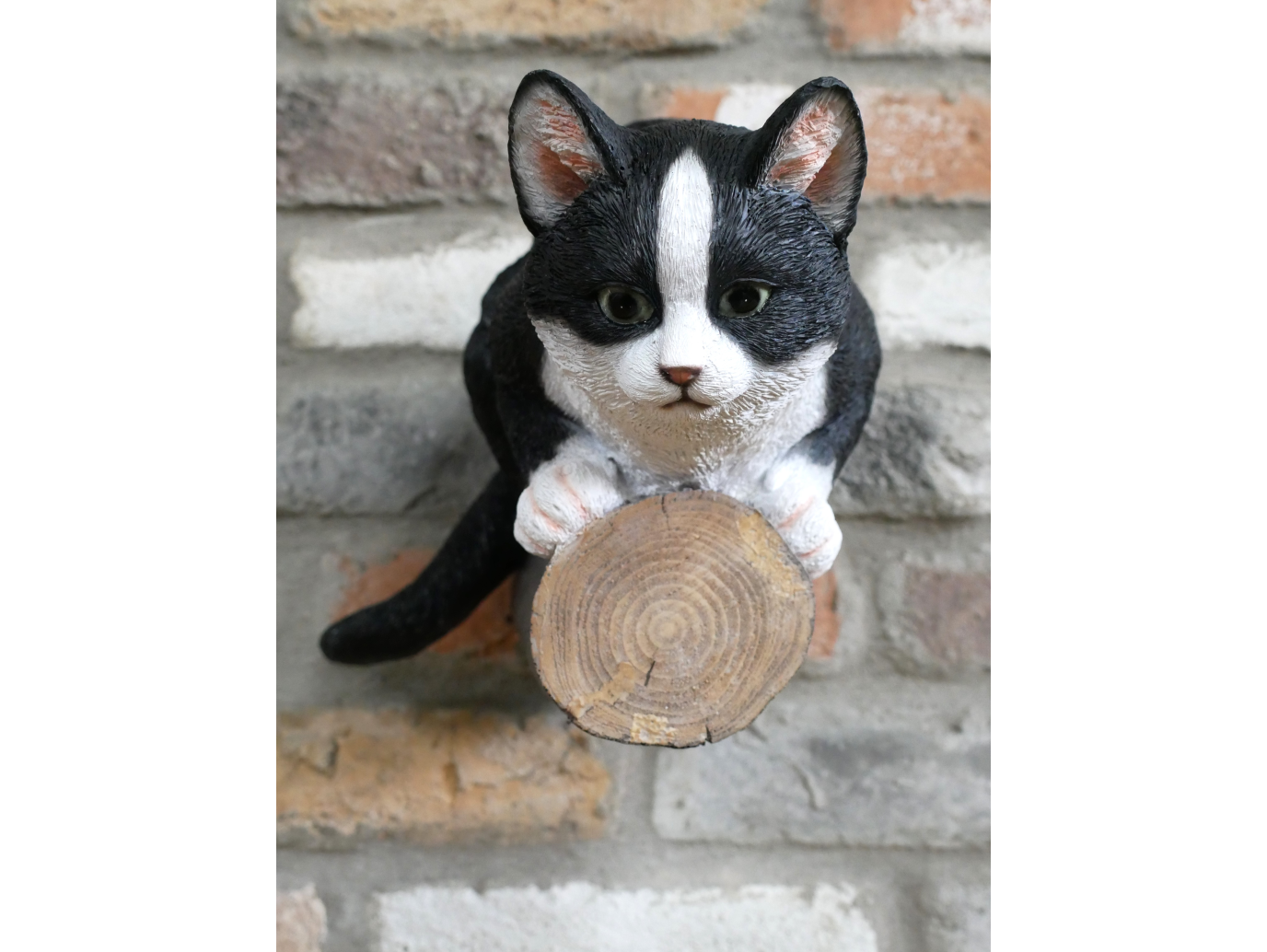 Cat On A Branch