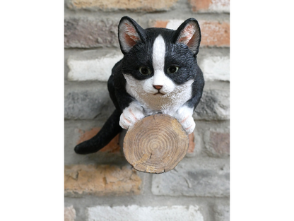 Cat On A Branch