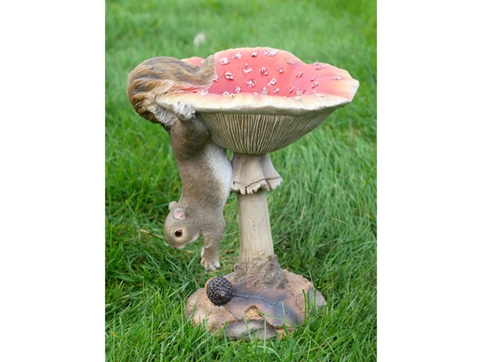 Squirrel On A Mushroom