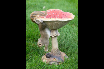 Squirrel On A Mushroom
