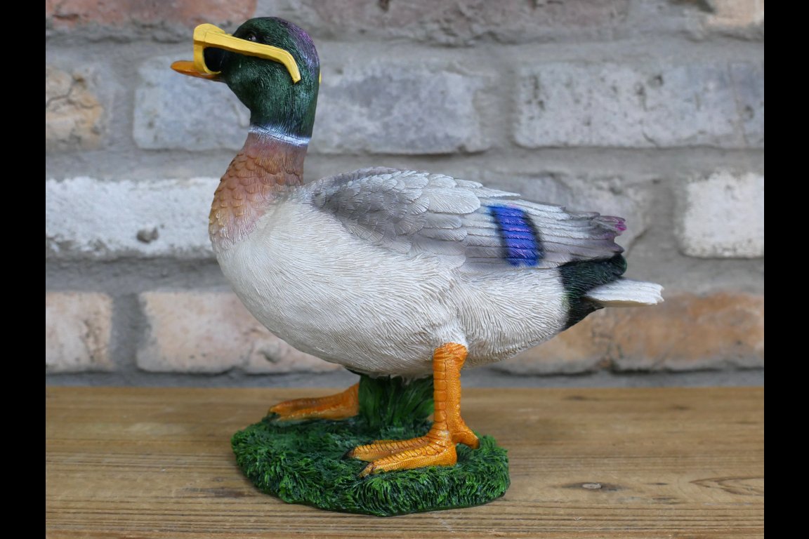 Duck In Shades