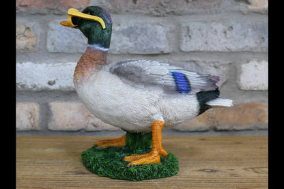 Duck In Shades