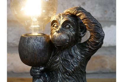 Monkey Light