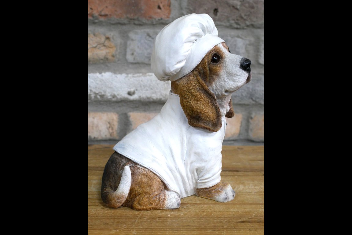 Dog Chef