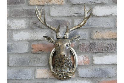 Stag Head