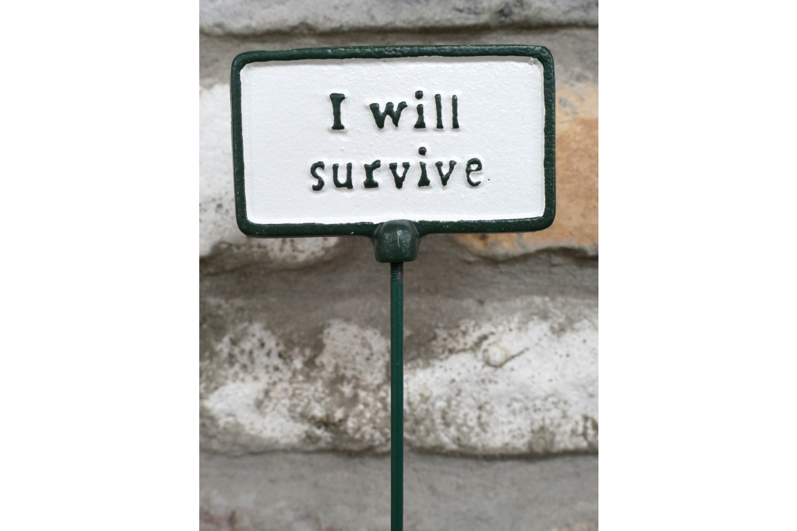 Plant Sign - I Will Survive